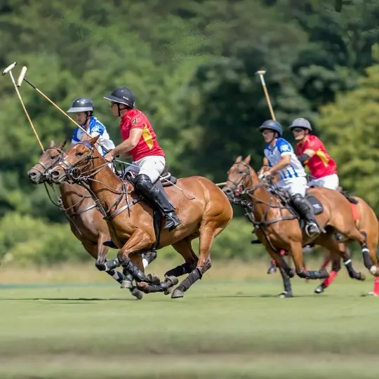 DMC Argentina Polo Players