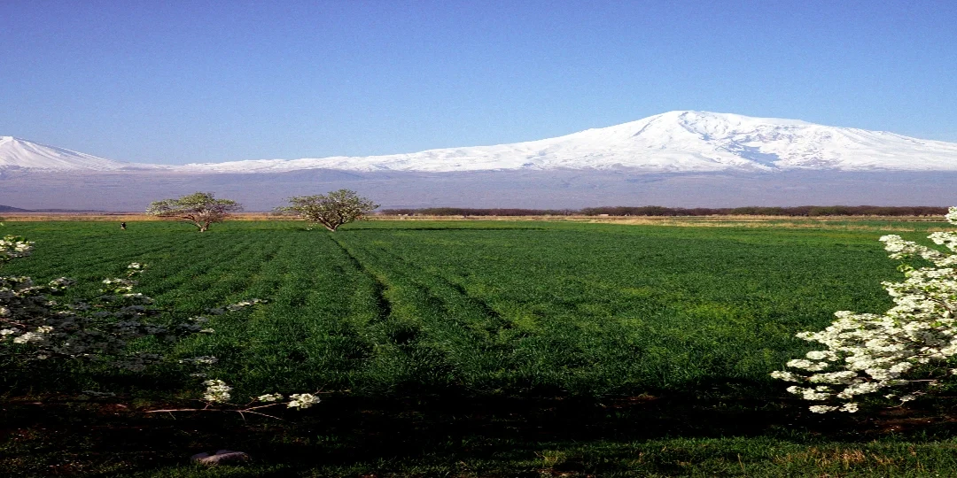 Armenia