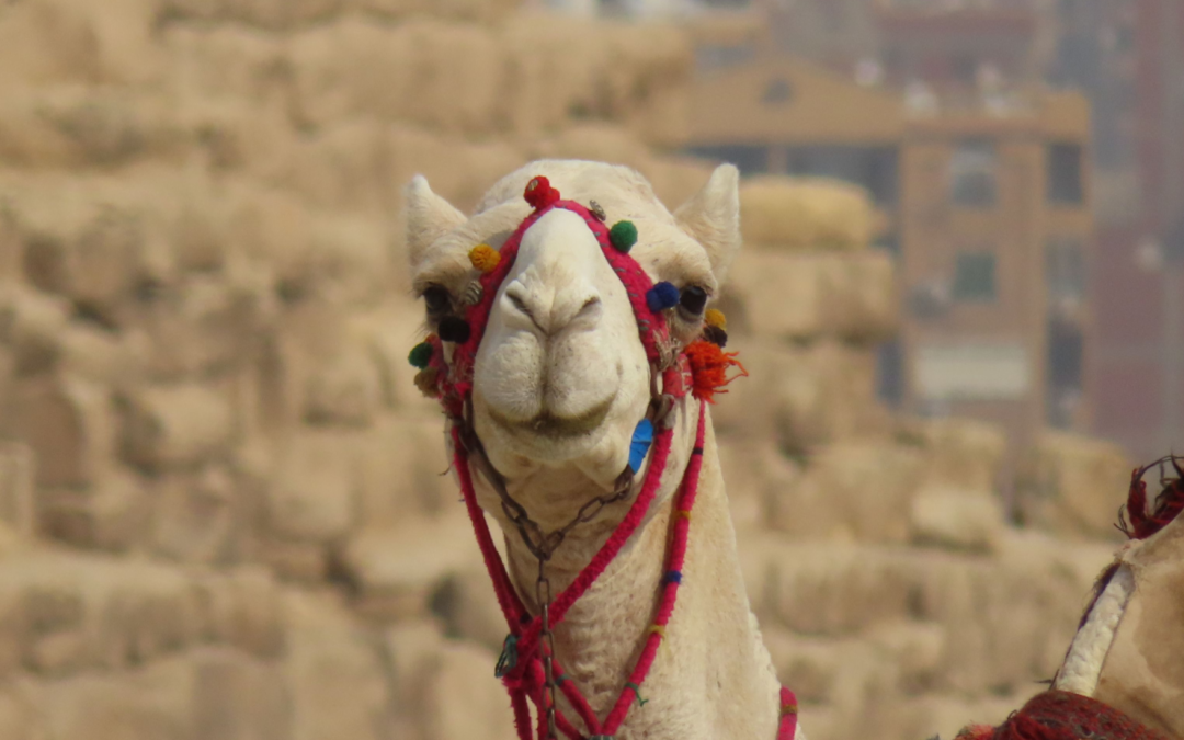 Egypt